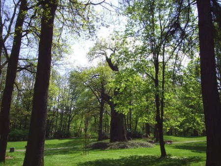 Zámecký park